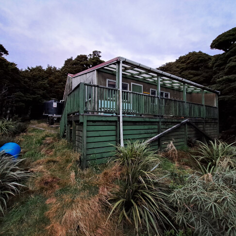 Alpha Hut No. 3, Tararua Forest Park  by PalmyPete - 30 April, 2023