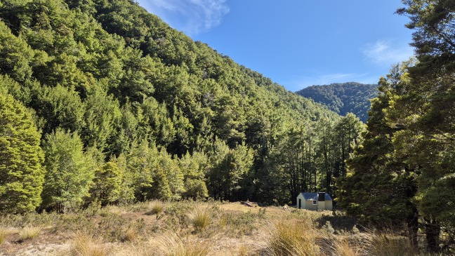Wheel Creek Hut, Victoria Forest Park  by Tinytramper - Wheel Creek Hut (mid January, 2025)