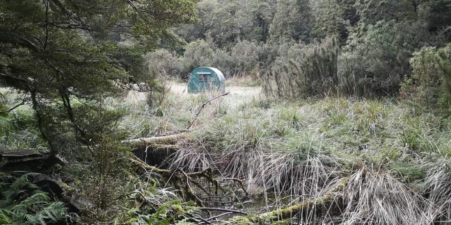 Garden Gully Biv, Roaring Meg Ecological Area  by Tarata - March 2020